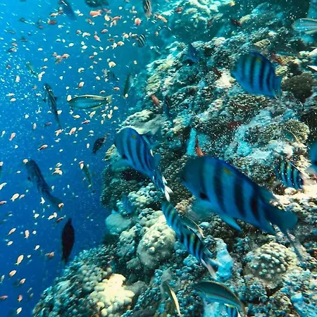 Tre Stella Marina Appartamento Lampedusa